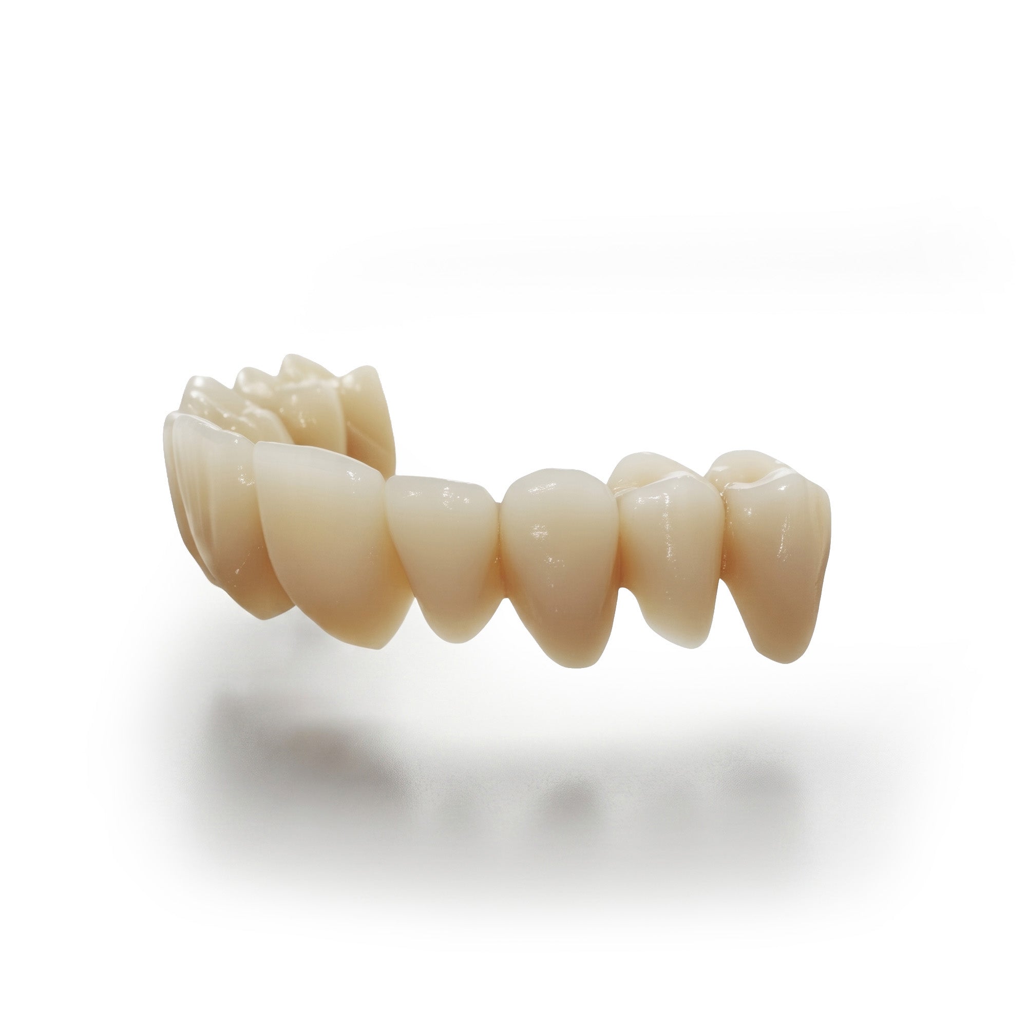 Polident PMMA Multilayer Blank